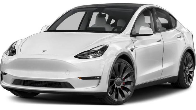 TESLA MODEL Y 2021 5YJYGDEE6MF129667 image